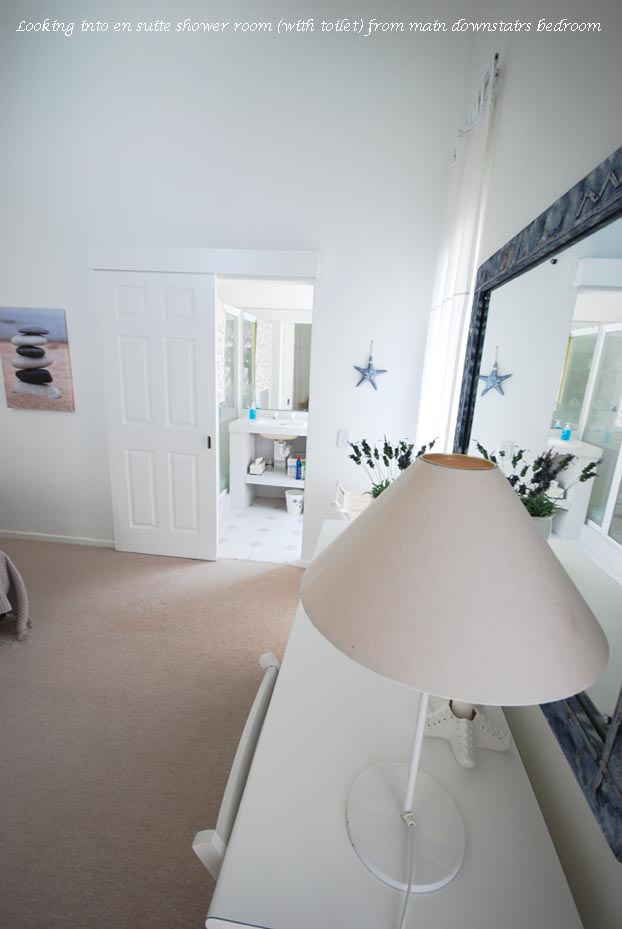 Downstairs en suite
